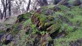 12550 Hogan Dam - Photo 71