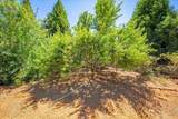 15570 Bella Sera Court - Photo 70