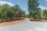 13333 Pioneer Drive - Photo 38