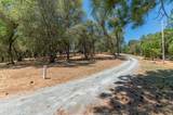 13333 Pioneer Drive - Photo 42
