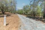 13333 Pioneer Drive - Photo 55