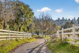 3281 Yearling Trail - Photo 46