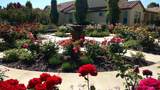1376 Volonne Drive - Photo 57