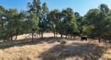 0 Whitaker Forest Road - Photo 14