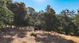 0 Whitaker Forest Road - Photo 15