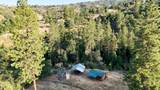 0 Whitaker Forest Road - Photo 19
