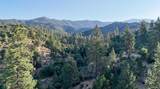 0 Whitaker Forest Road - Photo 20