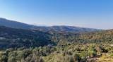 0 Whitaker Forest Road - Photo 21