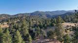 0 Whitaker Forest Road - Photo 25