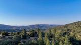 0 Whitaker Forest Road - Photo 33
