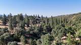 0 Whitaker Forest Road - Photo 39