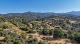0 Whitaker Forest Road - Photo 41