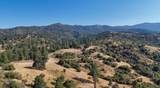 0 Whitaker Forest Road - Photo 42