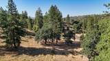 0 Whitaker Forest Road - Photo 47