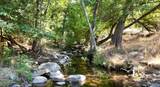 0 Whitaker Forest Road - Photo 65