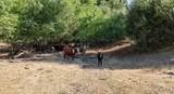 0 Whitaker Forest Road - Photo 66
