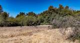 0 Whitaker Forest Road - Photo 7