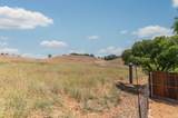 1070 Suzanne Drive - Photo 71