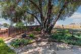1070 Suzanne Drive - Photo 85