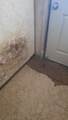 6220 Elder Creek Road - Photo 20