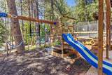 15798 Names Drive - Photo 11