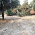 4440 Cosumnes View Trail - Photo 15