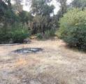 4440 Cosumnes View Trail - Photo 17