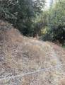 4440 Cosumnes View Trail - Photo 8