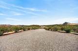7630 Goose Hill Ranch Road - Photo 9
