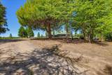 21748 Hyatt Road - Photo 79