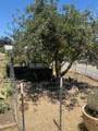 16862 Dutch Mine Road - Photo 31