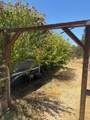 16862 Dutch Mine Road - Photo 34