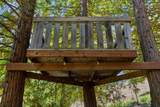 3966 Rawhide Road - Photo 84