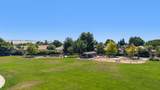2050 Tracey Jean Drive - Photo 60