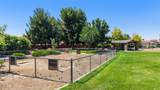 2050 Tracey Jean Drive - Photo 63