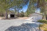13234 Squirrel Creek Road - Photo 10