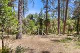 13234 Squirrel Creek Road - Photo 57