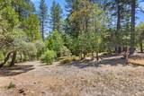 13234 Squirrel Creek Road - Photo 58