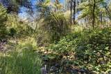 13234 Squirrel Creek Road - Photo 68