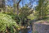 13234 Squirrel Creek Road - Photo 69