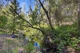 13234 Squirrel Creek Road - Photo 70
