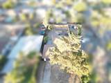 1005 Austin Street - Photo 27