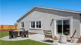 561 Frizzante Lane - Photo 13