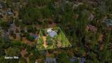 16891 Patricia Way - Photo 49