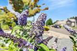 7090 Sinclair Drive - Photo 62