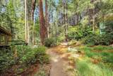 12593 Red Dog Road - Photo 40