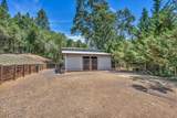 1510 Hanging Tree Road - Photo 16