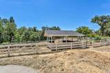 1510 Hanging Tree Road - Photo 17