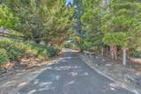 1510 Hanging Tree Road - Photo 21