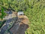 1510 Hanging Tree Road - Photo 35